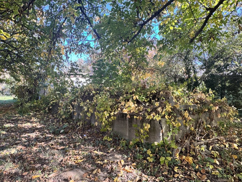 A telek eredeti állapota — Silva Terra, Szigetszentmiklós
