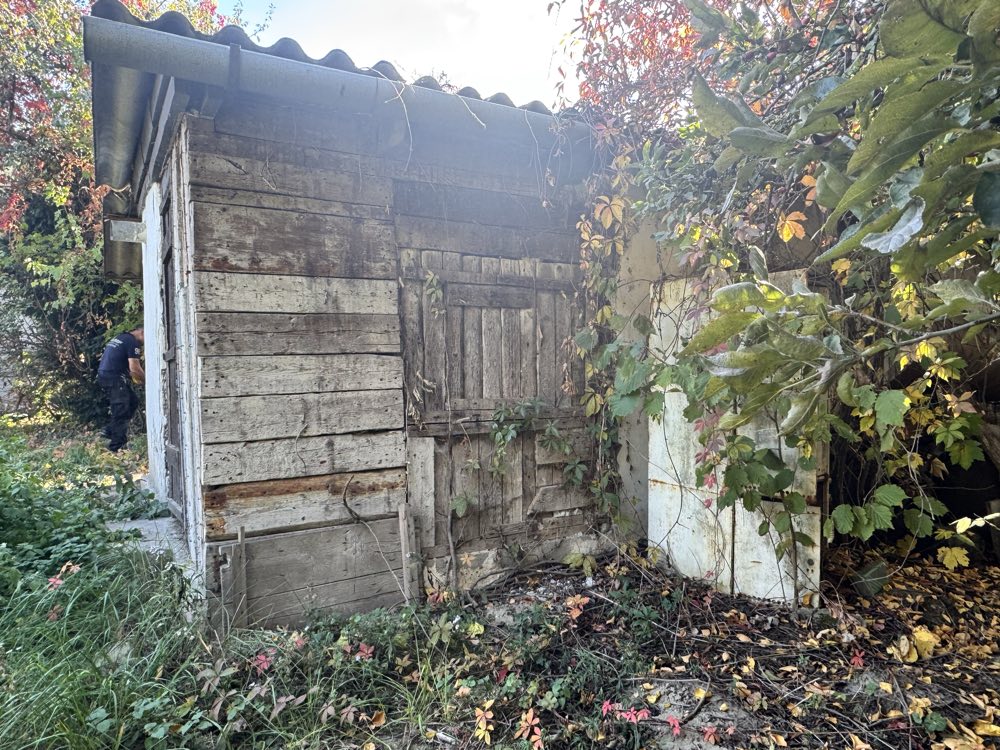 A telek eredeti állapota — Silva Terra, Szigetszentmiklós