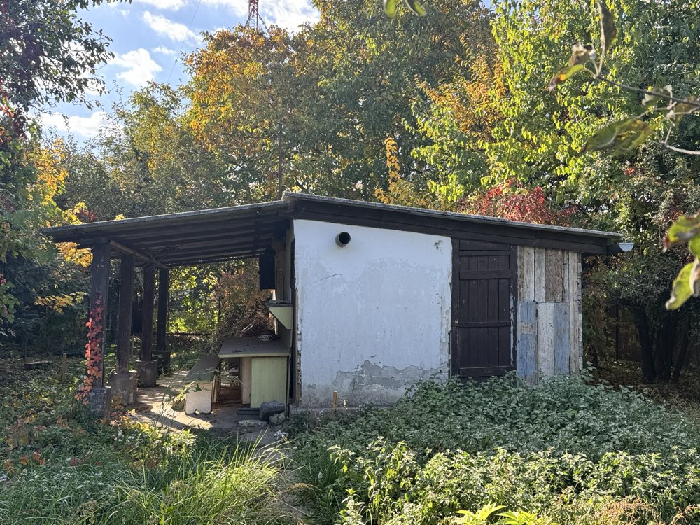 A telek eredeti állapota — Silva Terra, Szigetszentmiklós