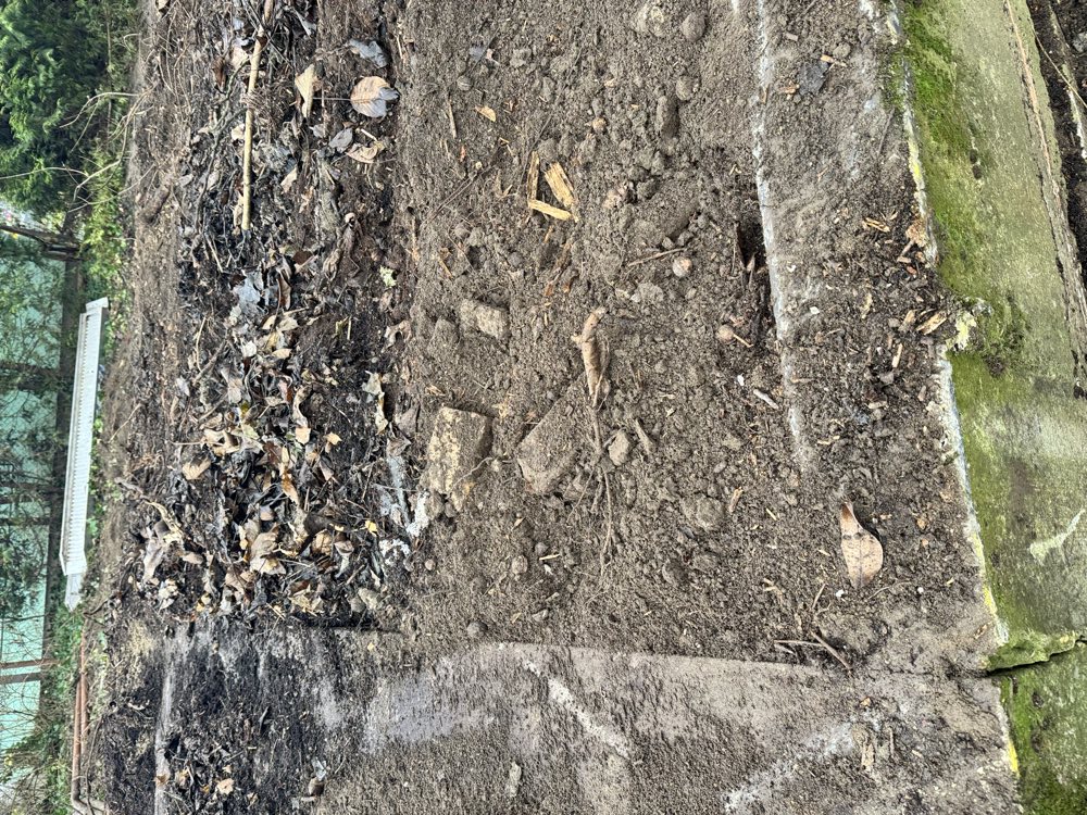 A régi alapok kibontása — Silva Terra, Szigetszentmiklós